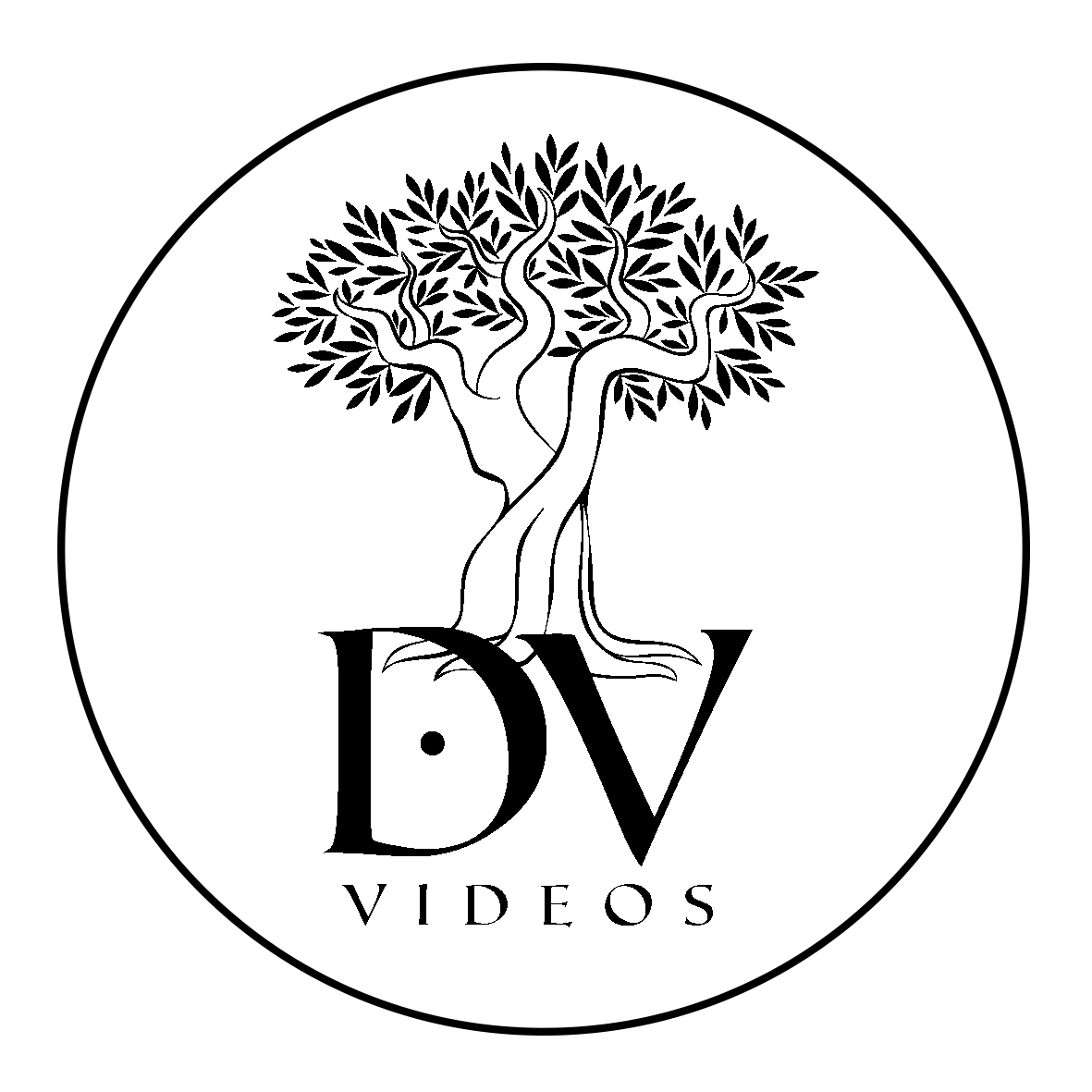 David Vega Merino
